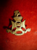 M53, M53a, The Wellington Rifles / Regiment 1928 Collar Badge